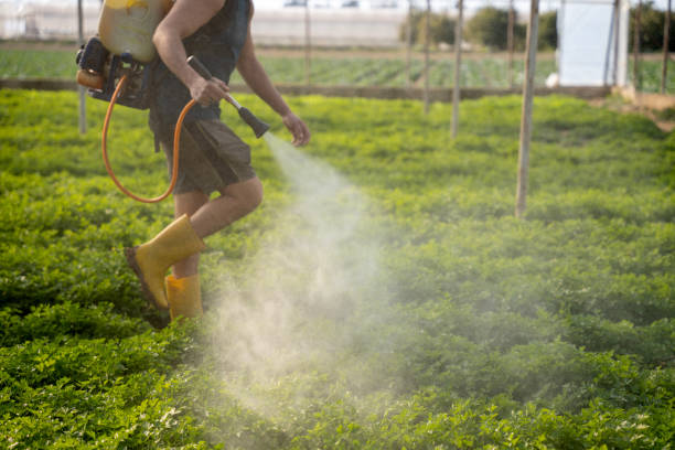 Best Ant Control Services  in Conyngham, PA