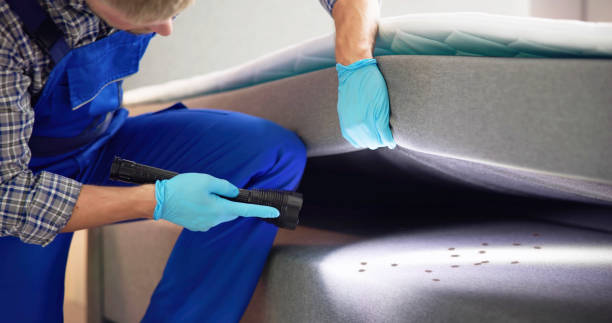 Best Bed Bug Extermination  in Conyngham, PA