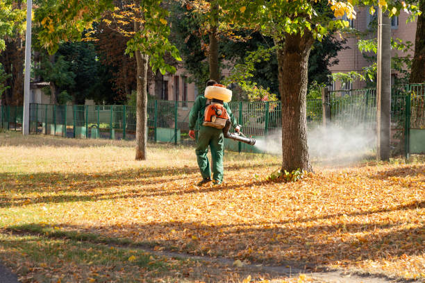 Best Pest Removal Services  in Conyngham, PA