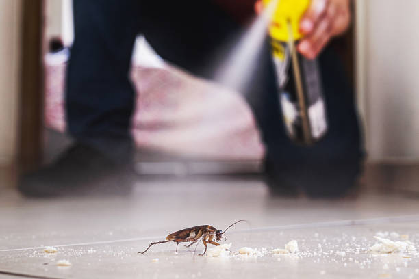 Trusted Conyngham, PA Pest Control Experts